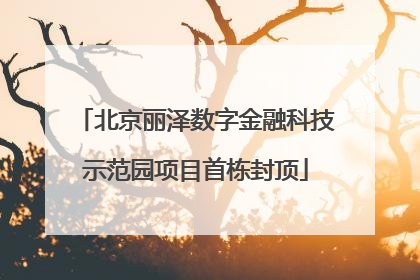 北京丽泽数字金融科技示范园项目首栋封顶