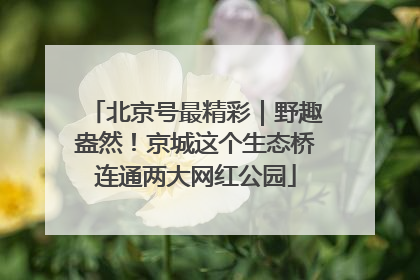 北京号最精彩｜野趣盎然！京城这个生态桥连通两大网红公园