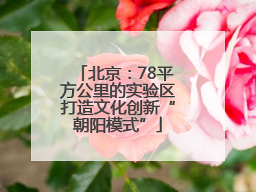 北京：78平方公里的实验区打造文化创新“朝阳模式”