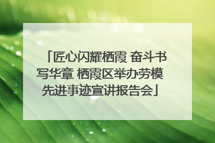 匠心闪耀栖霞 奋斗书写华章 栖霞区举办劳模先进事迹宣讲报告会