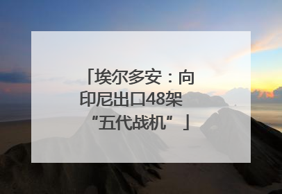 埃尔多安：向印尼出口48架“五代战机”