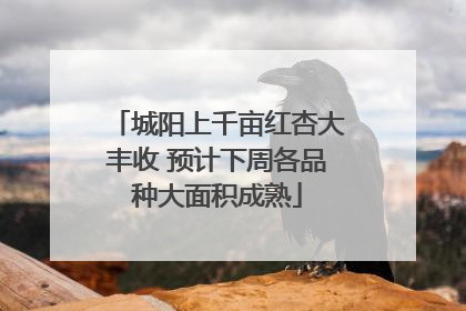 城阳上千亩红杏大丰收 预计下周各品种大面积成熟
