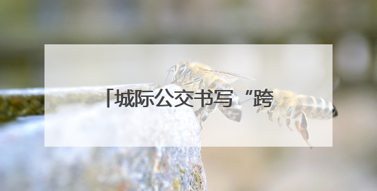 城际公交书写“跨城生活”新图景