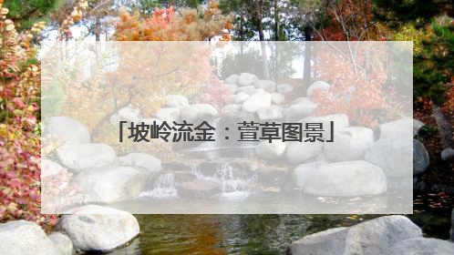 坡岭流金：萱草图景