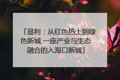 垦利：从红色热土到绿色新城 一座产业与生态融合的入海口新城