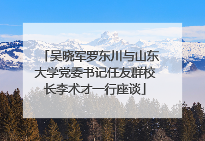 吴晓军罗东川与山东大学党委书记任友群校长李术才一行座谈