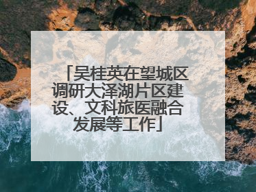 吴桂英在望城区调研大泽湖片区建设、文科旅医融合发展等工作