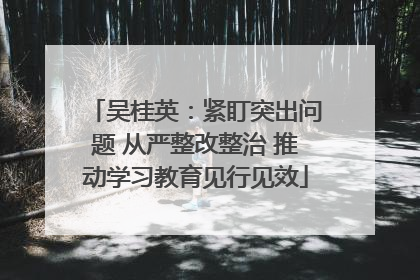 吴桂英：紧盯突出问题 从严整改整治 推动学习教育见行见效