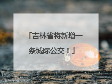 吉林省将新增一条城际公交！