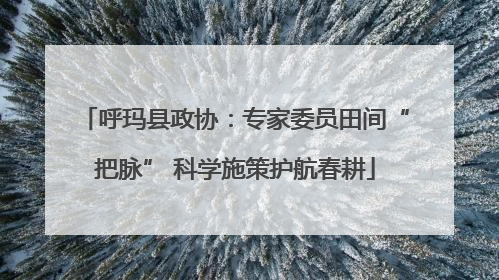 呼玛县政协：专家委员田间“把脉” 科学施策护航春耕