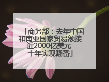 商务部：去年中国和南亚国家贸易额接近2000亿美元 十年实现翻番