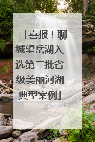 喜报！聊城望岳湖入选第二批省级美丽河湖典型案例