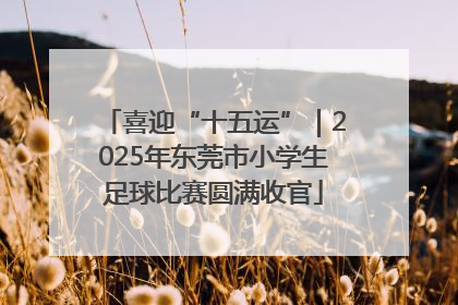 喜迎“十五运”｜2025年东莞市小学生足球比赛圆满收官