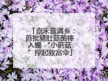 嘉禾普满乡：首批猪肚菇菌棒入棚 “小蘑菇”撑起致富伞