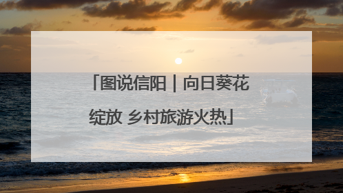 图说信阳｜向日葵花绽放 乡村旅游火热