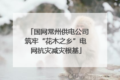 国网常州供电公司筑牢“花木之乡”电网抗灾减灾根基