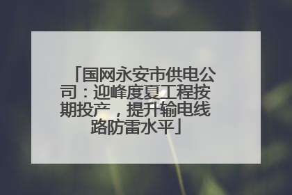 国网永安市供电公司：迎峰度夏工程按期投产，提升输电线路防雷水平