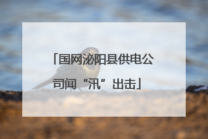 国网泌阳县供电公司闻“汛”出击