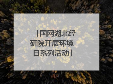 国网湖北经研院开展环境日系列活动