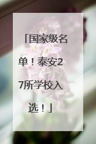 国家级名单！泰安27所学校入选！