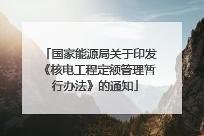 国家能源局关于印发《核电工程定额管理暂行办法》的通知