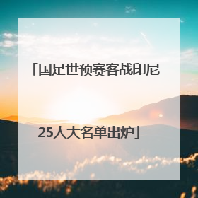 国足世预赛客战印尼25人大名单出炉