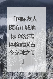 国际友人探访江城地标 沉浸式体验武汉古今交融之美