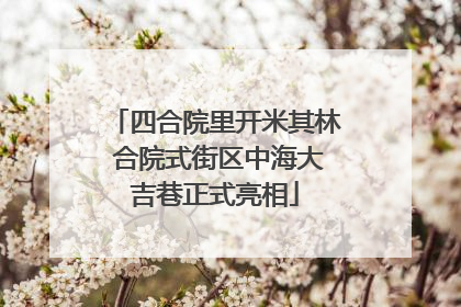 四合院里开米其林 合院式街区中海大吉巷正式亮相
