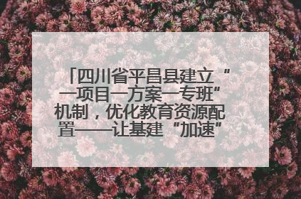 四川省平昌县建立“一项目一方案一专班”机制，优化教育资源配置——让基建“加速”，为成长“铺路”
