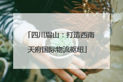 四川眉山：打造西南天府国际物流枢纽