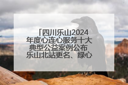 四川乐山2024年度心连心服务十大典型公益案例公布 乐山北站更名、绿心路井盖治理等上榜