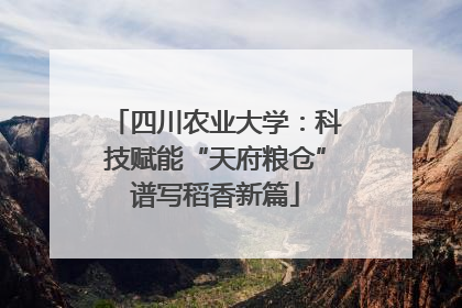 四川农业大学：科技赋能“天府粮仓”谱写稻香新篇