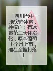 四川巴中一地突降冰雹，种植户：有冰雹第二天还没化，原本葡萄下个月上市，现在全被打落