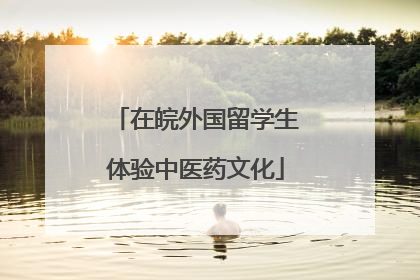 在皖外国留学生体验中医药文化