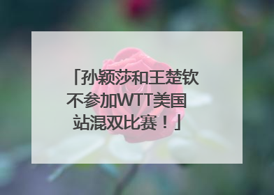 孙颖莎和王楚钦不参加WTT美国站混双比赛！