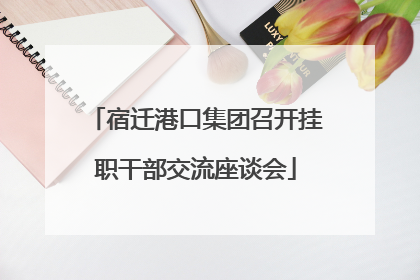 宿迁港口集团召开挂职干部交流座谈会