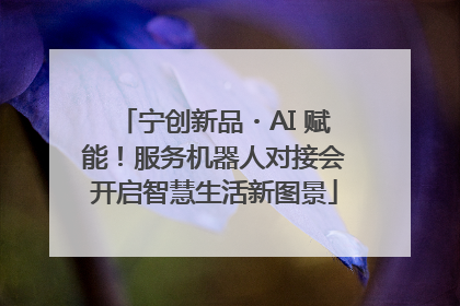 宁创新品・AI 赋能！服务机器人对接会开启智慧生活新图景