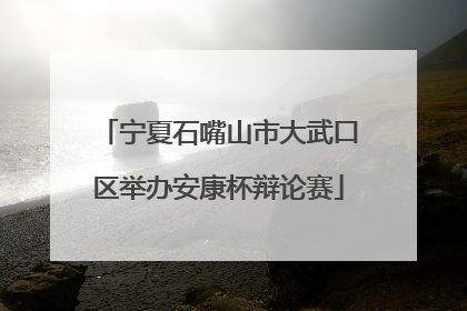 宁夏石嘴山市大武口区举办安康杯辩论赛