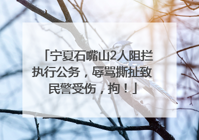宁夏石嘴山2人阻拦执行公务，辱骂撕扯致民警受伤，拘！