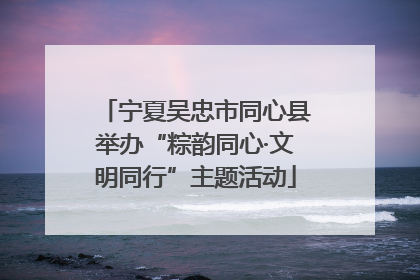 宁夏吴忠市同心县举办“粽韵同心·文明同行”主题活动