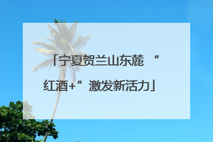 宁夏贺兰山东麓 “红酒+”激发新活力
