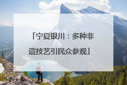 宁夏银川：多种非遗技艺引民众参观