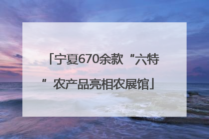 宁夏670余款“六特”农产品亮相农展馆