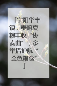 宁阳华丰镇：奏响夏粮丰收“协奏曲”，多举措护航“金色粮仓”