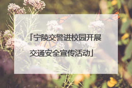 宁陵交警进校园开展交通安全宣传活动