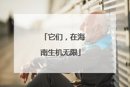 它们，在海南生机无限