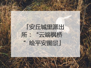 安丘城里派出所：“云端枫桥”绘平安图景