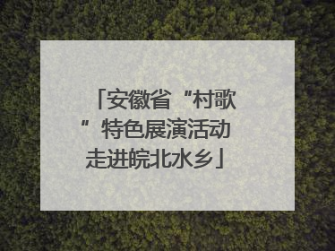 安徽省“村歌”特色展演活动走进皖北水乡