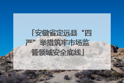 安徽省定远县“四严”举措筑牢市场监管领域安全底线