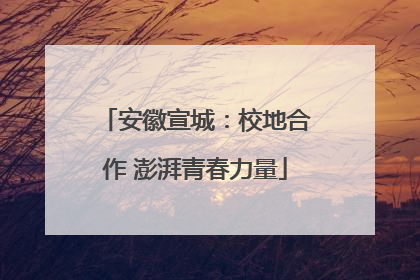 安徽宣城：校地合作 澎湃青春力量